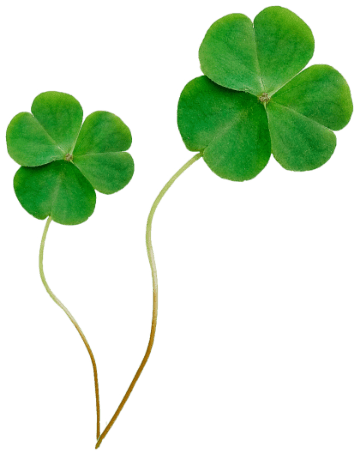 Clovers