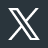 X Icon